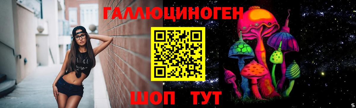 Саратов  Псилоцибиновые грибы Psilocybe  Псилоцибиновые грибы GOLDEN TEACHER  Вход с VPN 